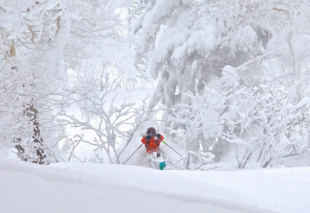 Our new website is coming soon!