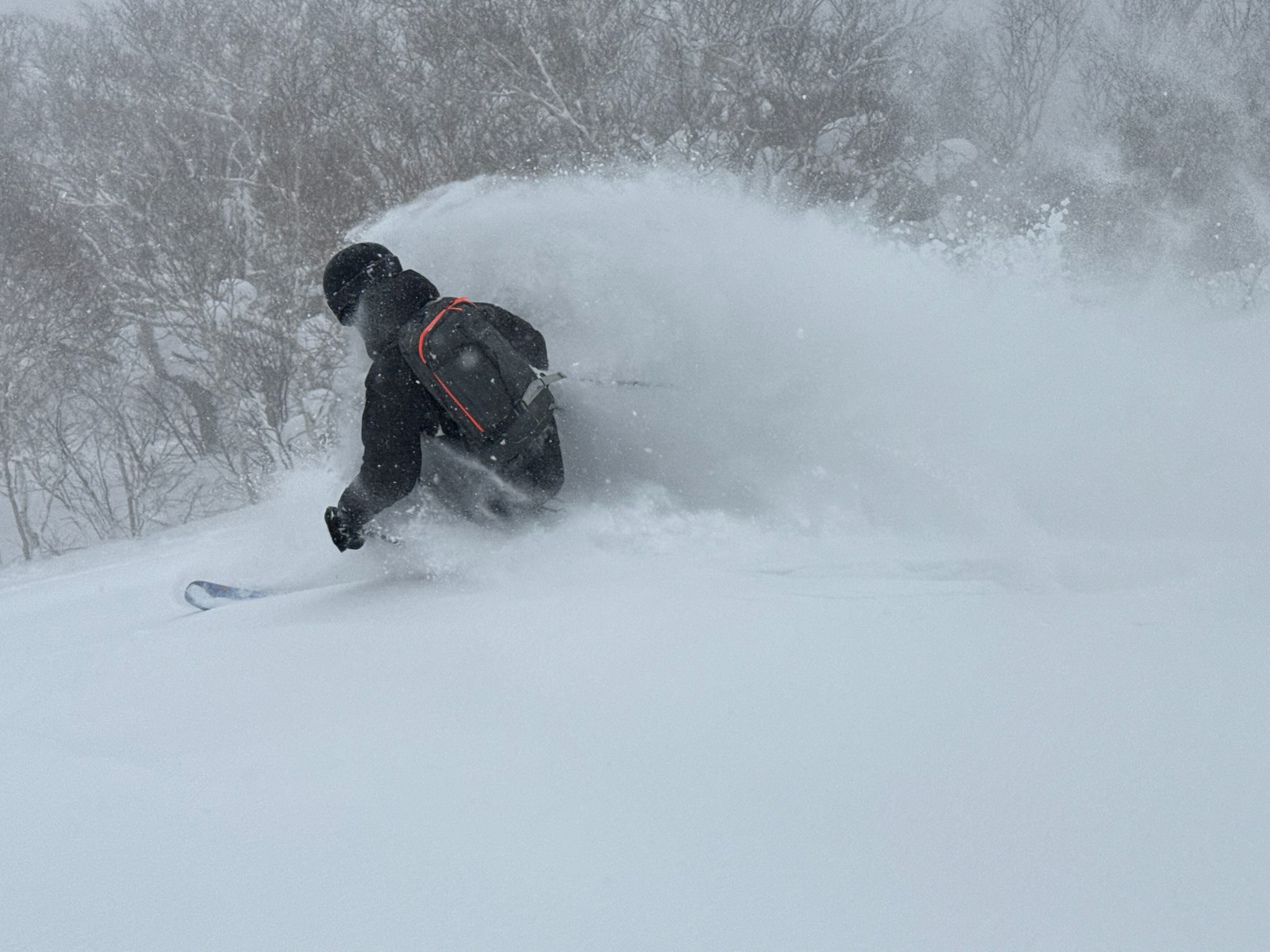 Powder Ski Tours Niseko